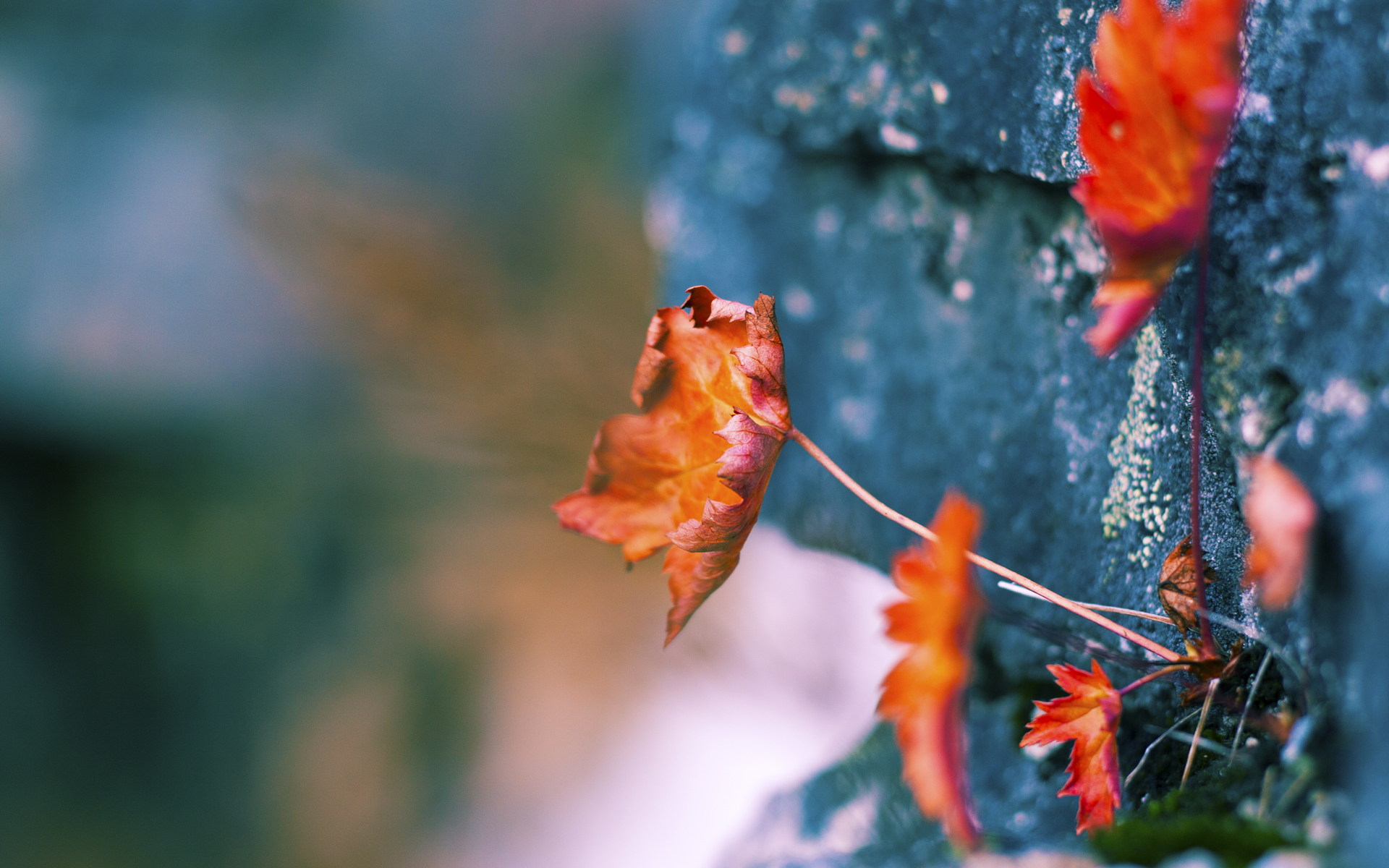 双线狂飙，智利压哨绝杀与黄喜灿欧冠封神，足球跨越洲际的璀璨48小时