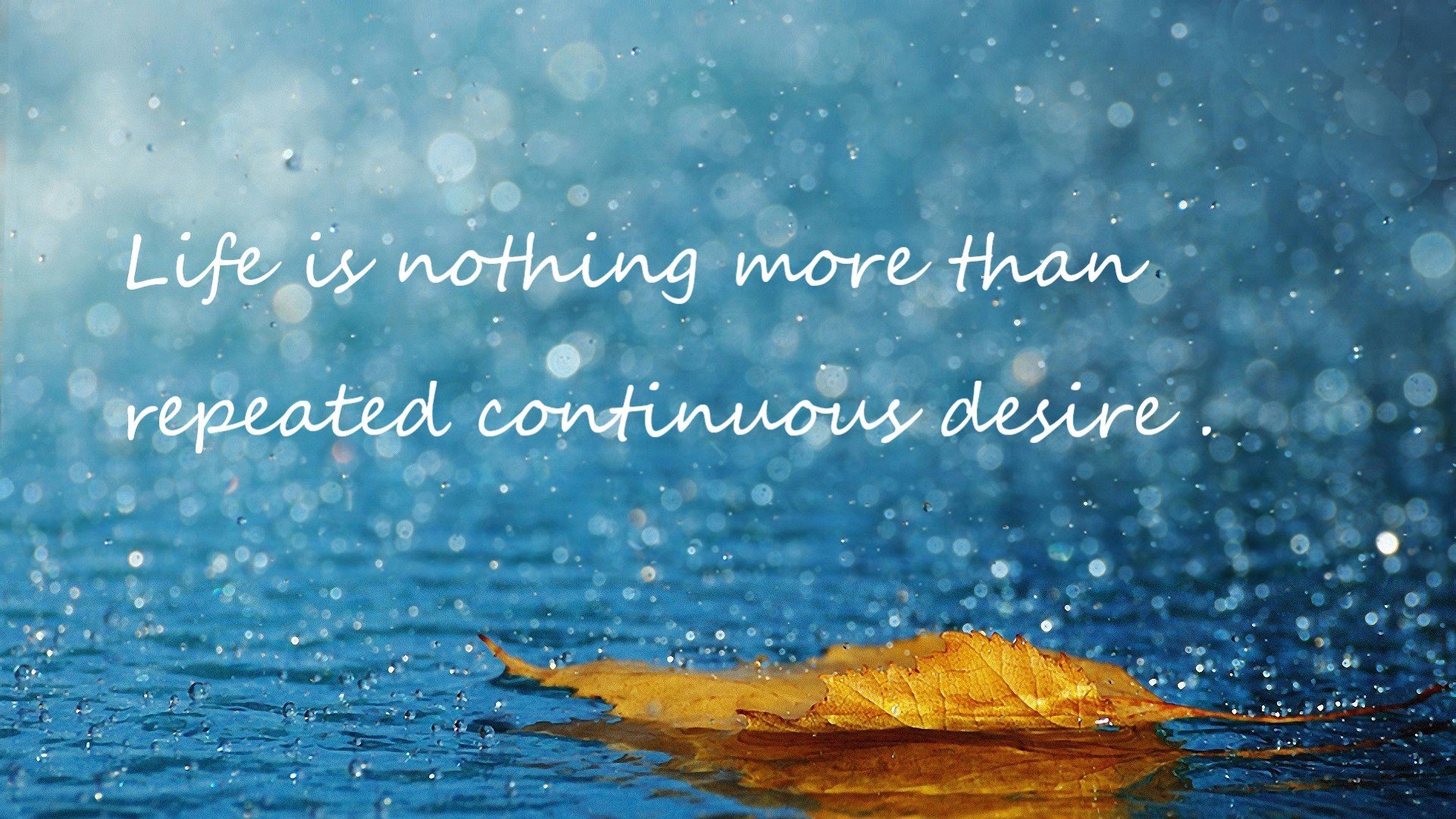 守护荣誉之夜!利拉德高能开火,捍卫排名荣光