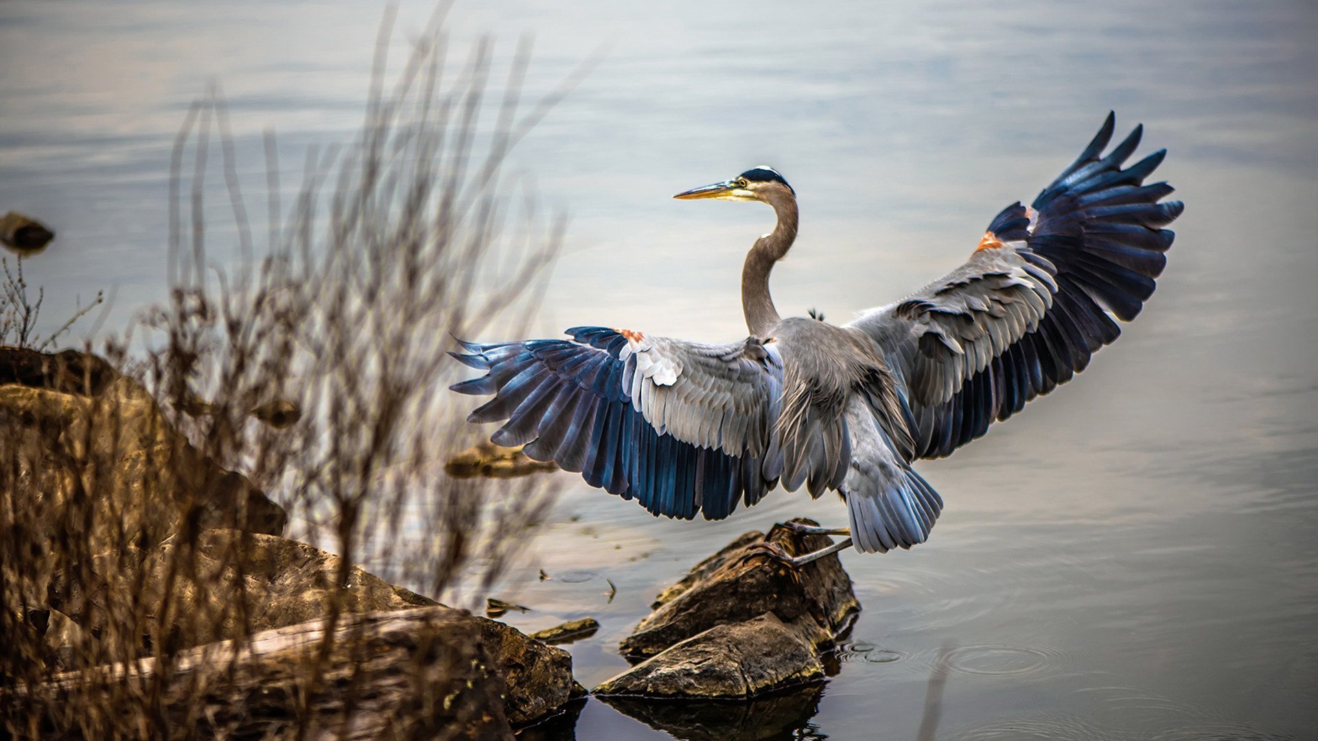 阿根廷生死战的血性救赎，那个叫布雷默的男人，在蓝黑色的天空下刻下永恒