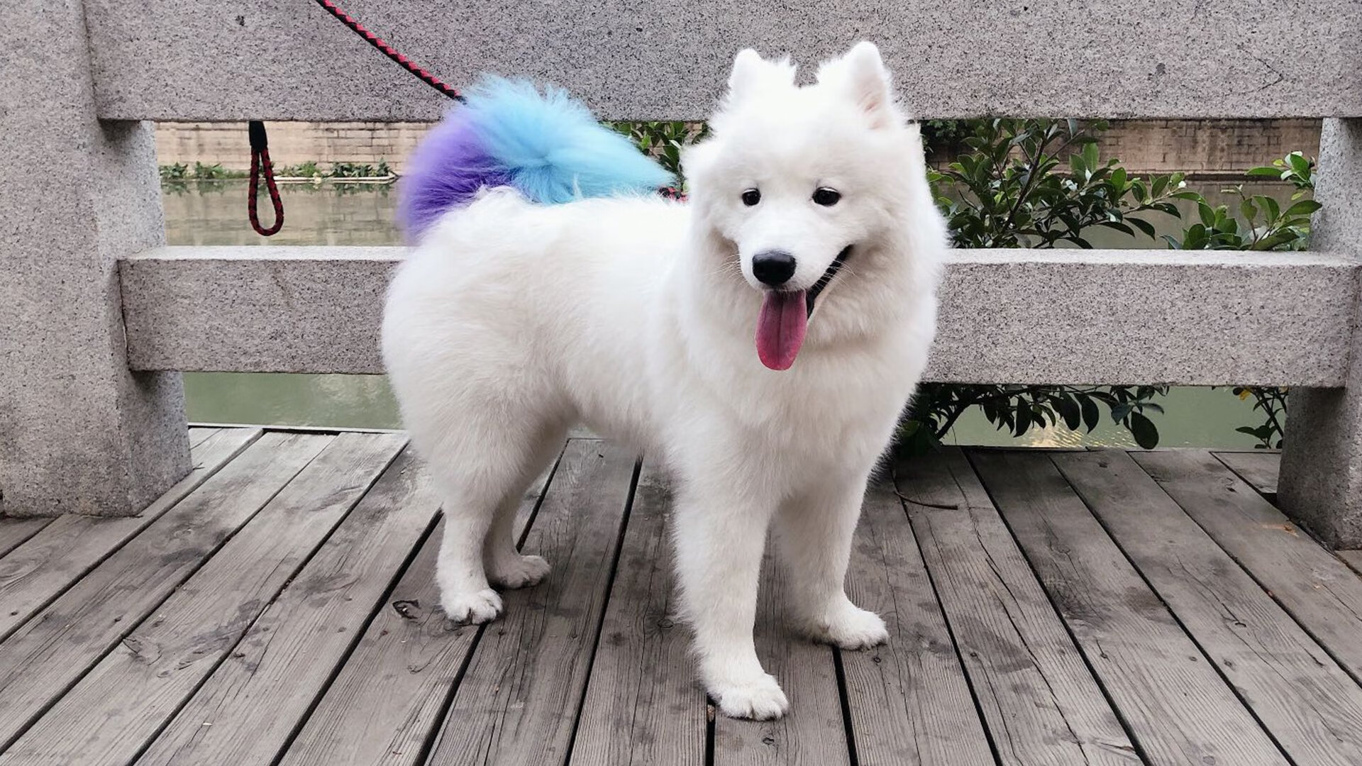 锋芒，意甲焦点战之夜，布伦森用足球写就的统治宣言