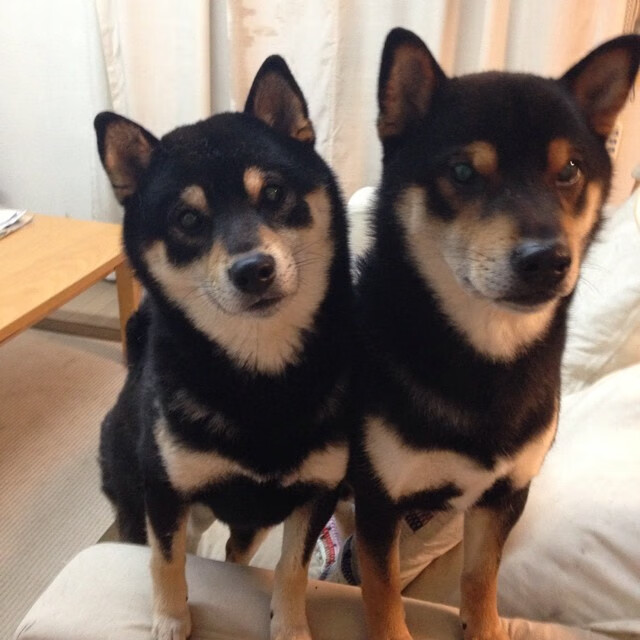 比赛日的两重奏，失控与掌控