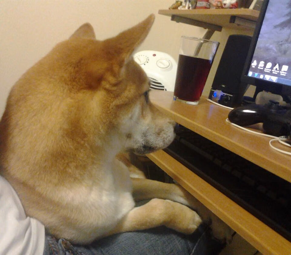 克瓦拉茨赫利亚，赛场上的烈焰舞者