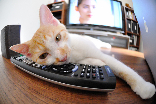 救赎之夜，奥斯梅恩破茧，皇马险胜雷恩