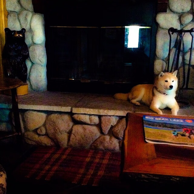 独行侠硬仗取胜上海队，贝恩状态火热引爆全场